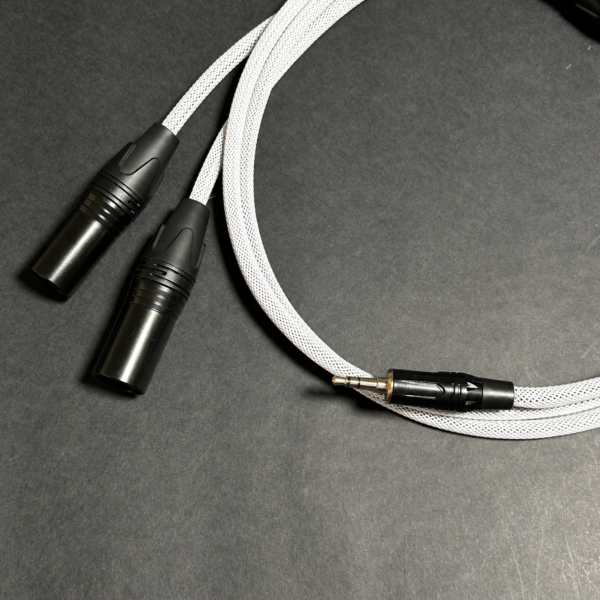 EP to Dual XLR