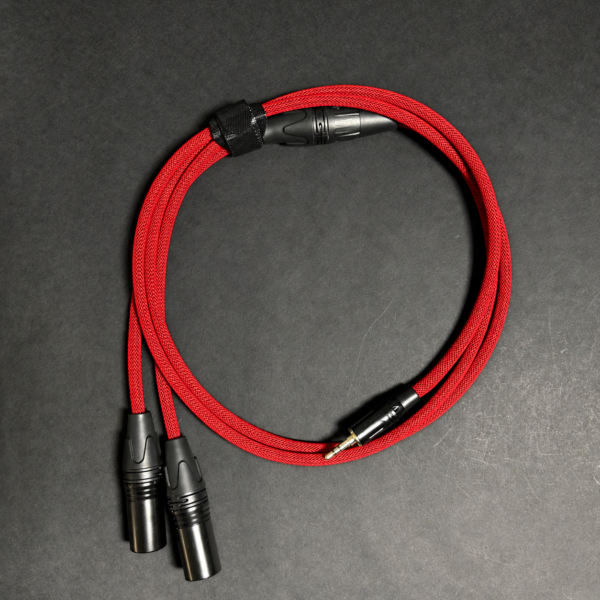 EP to Dual XLR