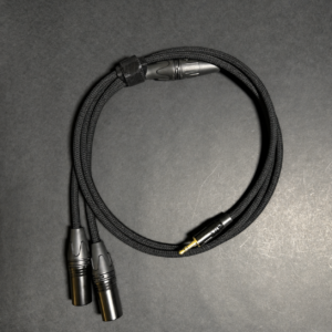 ChatGPT Image Sep 14, 2026, 11_58_44 PM EP to Dual XLR (Copy)